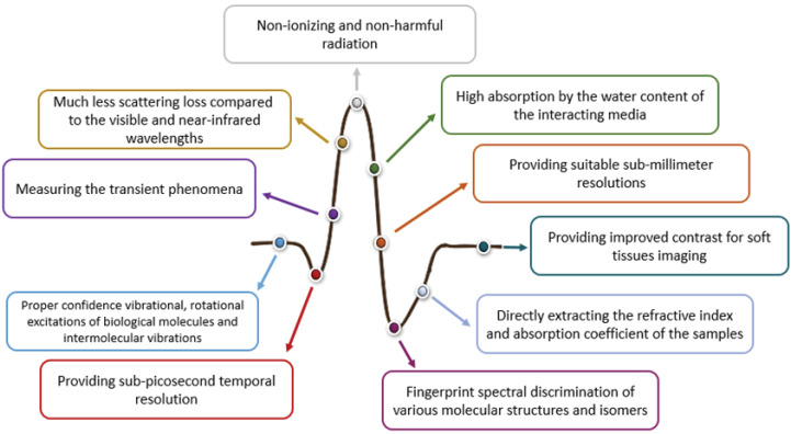 Đánh giá các ứng dụng khả thi của tần sóng terahertz trong chẩn đoán và điều trị y tế